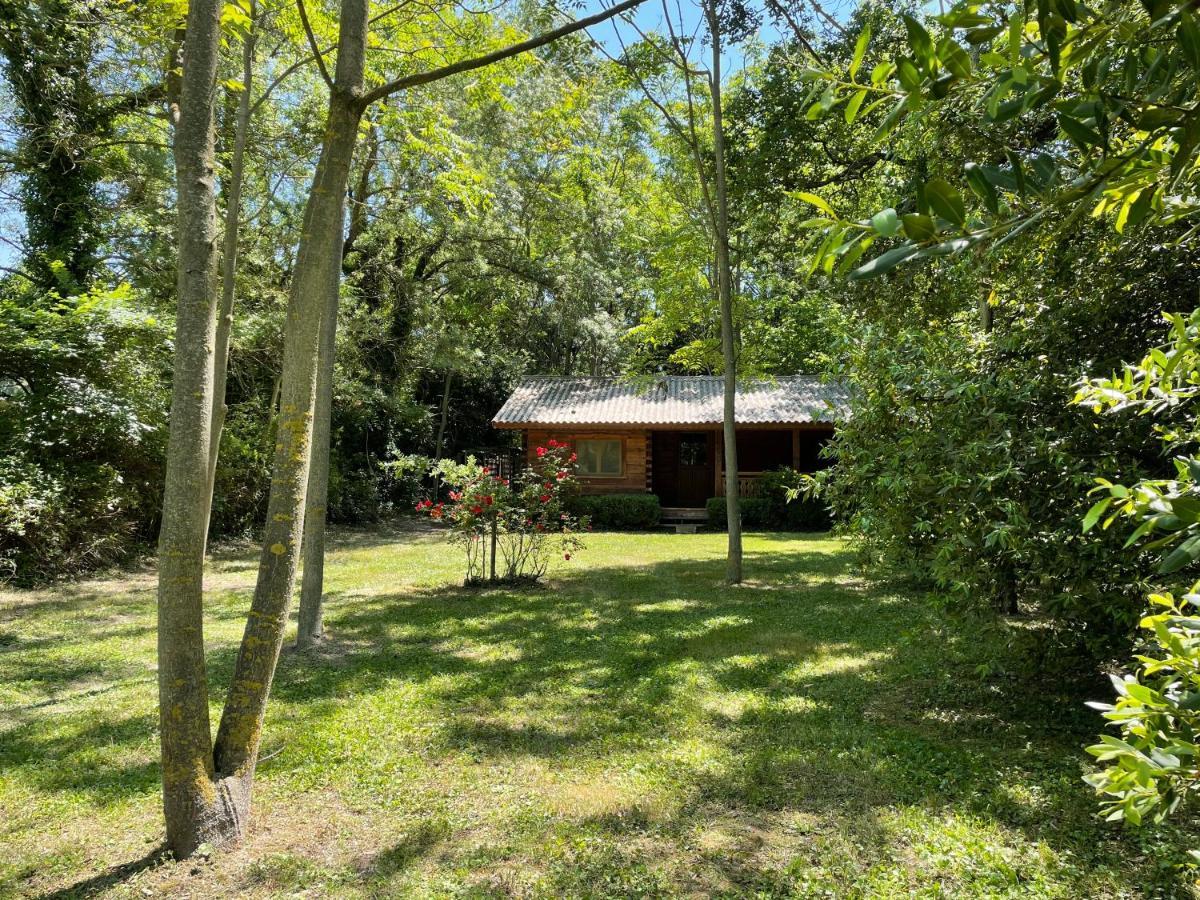 Bastidette Florestane Saint-Rémy-de-Provence Εξωτερικό φωτογραφία